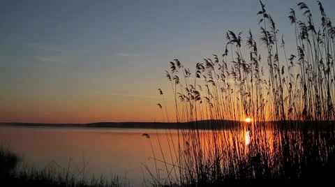 Sunset through the reed over a quiet lake Stock Footage 21992979