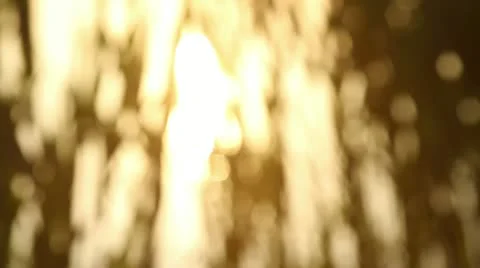 Sunset through the reeds Stock Footage 12580052