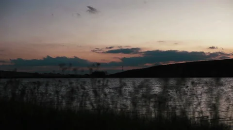 Sunset through the reeds Stock Footage 48340537