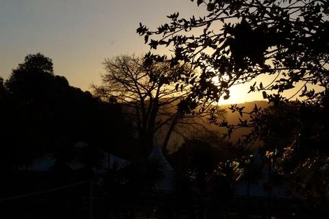 Sunset through silhouetted trees Stock Photos
