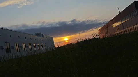 Sunset through tall grass near industrial buildings at dusk Stock Footage 337212499