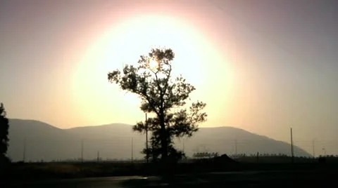 Sunset Through a Tree 2 Stock Footage 10949415