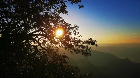 Sunset through tree branches over mountain landscape Stock Footage 341929690