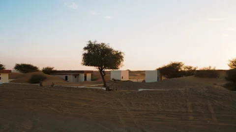 Sunset through tree in the desert. 4K cinematic video Stock Footage 91059336