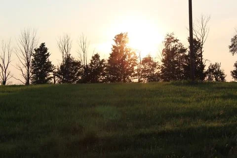 Sunset through the treeline Фото