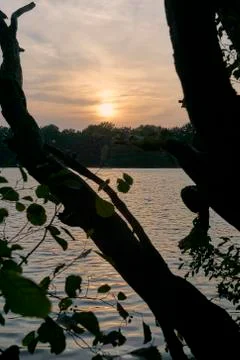 Sunset through trees at Brunswick pond Mittelteich Stock Photos