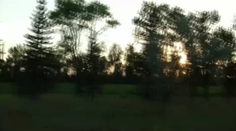Sunset Through Trees Driving Stock Footage