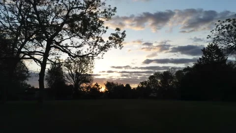 Sunset through trees - Drone camera moves forward and up Stock Footage 137865796