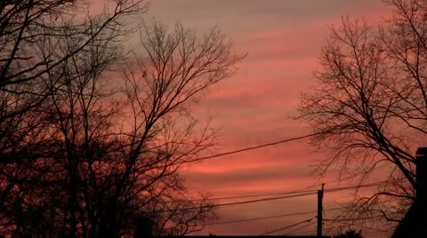 Sunset Through Trees Stock Footage 10076341