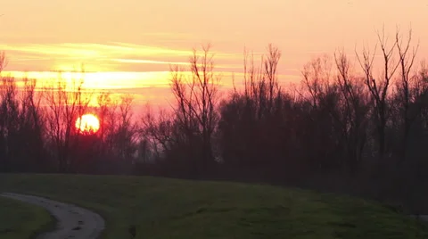 Sunset through the trees Stock Footage 34339854