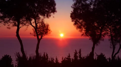 Sunset through trees Stock Footage 37917477