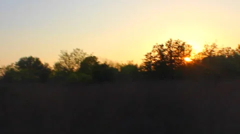 Sunset Through The Trees Stock Footage 48918727