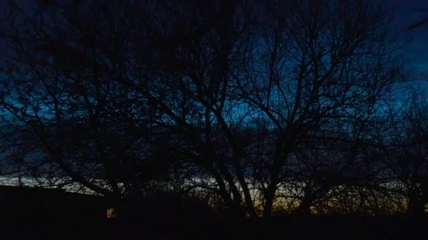 Sunset through the trees Video stock 106445017