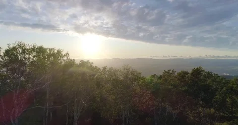 Sunset through the trees in the mountains aerial Stock Footage 80029736