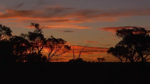 Sunset through trees in Outback 스톡 동영상 279785766