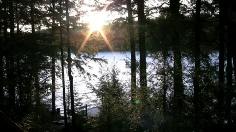 Sunset through trees over lake and dock  Stock Footage