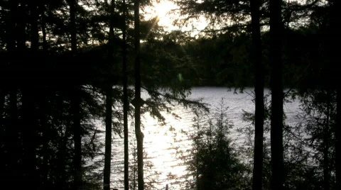 Sunset through trees over lake  Stock Footage 408674