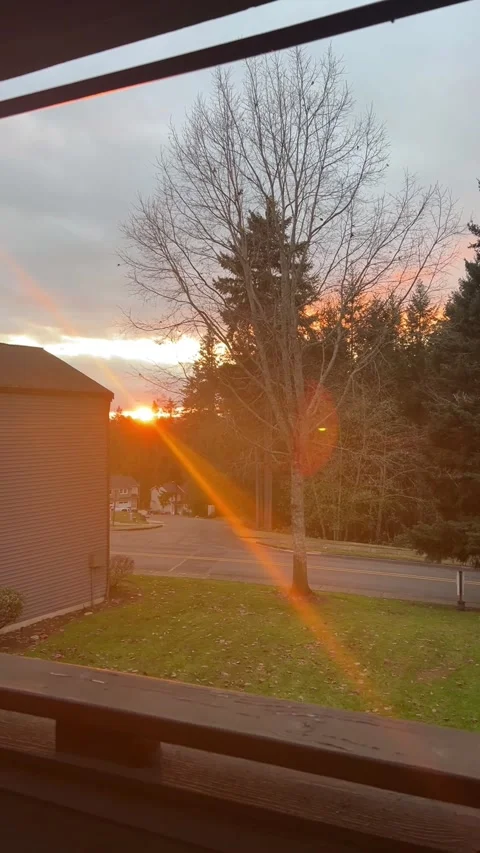 Sunset Through Trees Over Quiet Neighborhood Street Stock-Footage 335826841