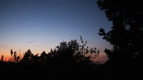 Sunset Through the Trees Peaceful Evening View Stock Footage 306615535