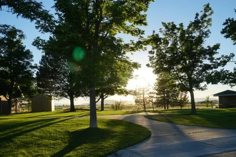 Sunset Through The Trees Stock Photos