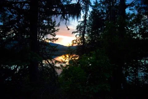 Sunset through the trees Stock Photos