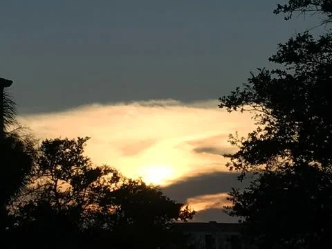 Sunset Through Trees Foto stock