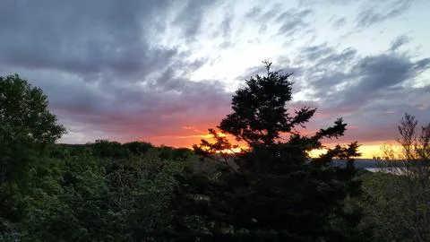 Sunset through the trees Stock Photos