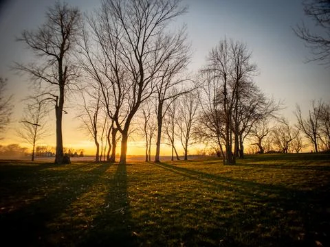 Sunset through Trees with Shadows HDR Stock Photos