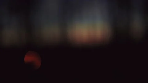 Sunset through the trees, somewhere in the French countryside Stock Footage 150007717