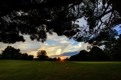 Sunset through trees in summer Stock Photos