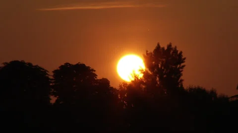 Sunset through the trees timelapse Stock Footage 36347113