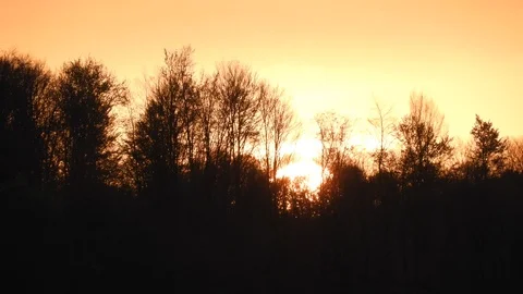 Sunset through trees, timelapse Video stock 89670882