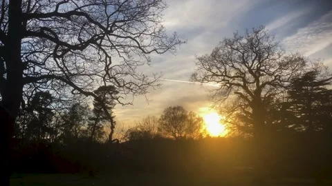 Sunset through trees, Tunbridge Wells Stock Footage