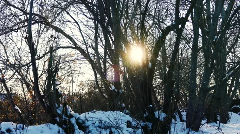 Sunset Through the Trees in Winter Vídeos de archivo 58687953