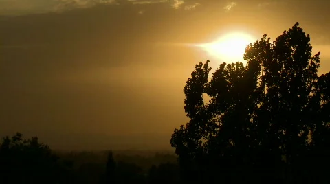 Sunset Through Windy Tree 1 Видео 498094