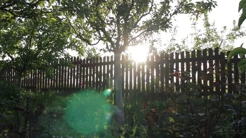Sunset throw the Fence in the Garden. Stock Footage 76439022