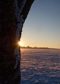 Sunset in thuringia with snow at krippendorf in winter Stock Photos