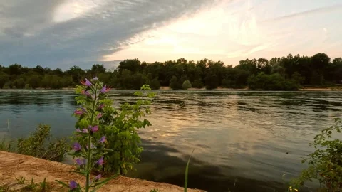 Sunset on the Ticino River Stock Footage 308390317