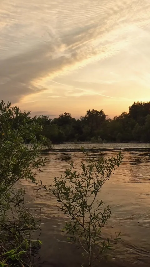 Sunset at Ticino on a summer evening, vertical video Video stock 311032070