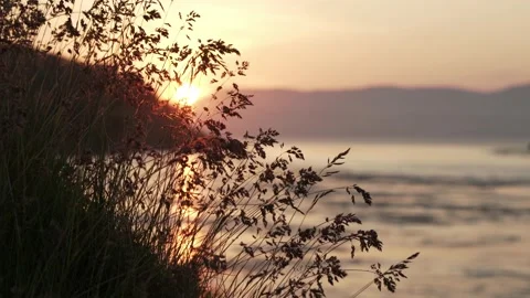 Sunset at tidal current Saltstraumen in Norway with grass in the foreground Stock Footage 238474299