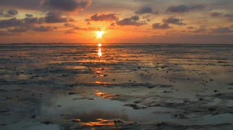 Sunset in tidelands Stock Footage 505384