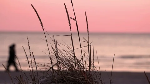 Sunset time by Baltic sea. Stock-Footage 106276388