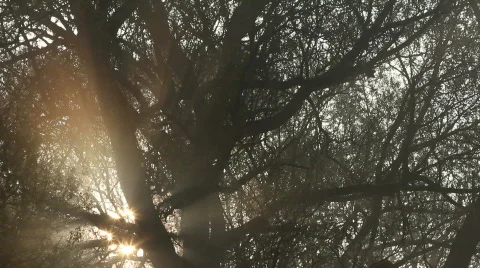 Sunset, time laps Video stock 840872