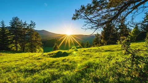 Sunset Time lapse Background in green nature Stock Footage 211805096