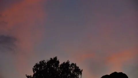 Sunset time lapse with clouds on sky and trees Video stock 83141820