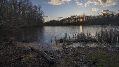 Sunset time lapse at Davidson Mill Pond in New Jersey in early spring Vidéo 129606567