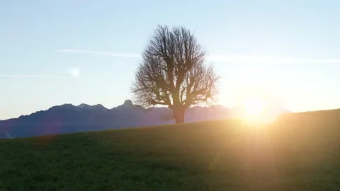 Sunset Time Lapse of Fog Clouds Moving Fast Over Nature Landscape Scenery Stock-Footage 168092805