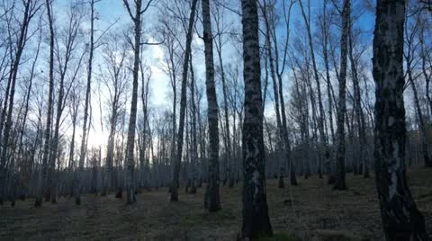 Sunset, Time Lapse Stock Footage 22211802