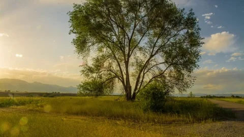 Sunset time-lapse Video stock 79316533