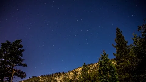 Sunset Time Lapse in Forest with Moon Casting Light Stock Footage 73744802